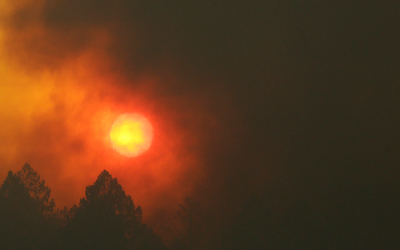 Calif. fire chief loses home while battling wildfire