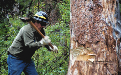 Existing suppliers and the drive for new equipment?