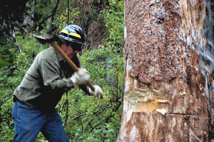 Existing suppliers and the drive for new equipment?