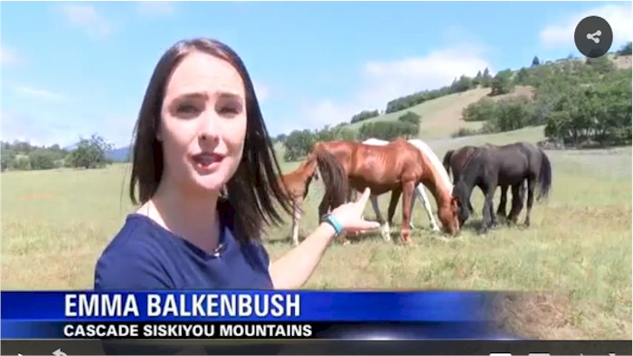 Rancher Says Wild Horses Could Help Prevent Wildfires