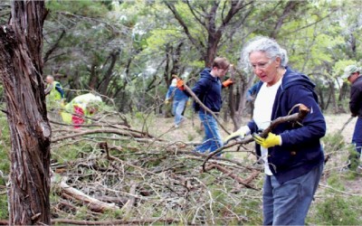 Insightful, Residents addressing wildfire risks in Lake Travis, Westlake