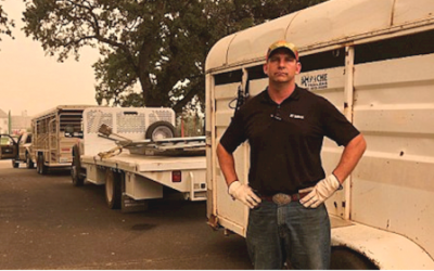 Retired Marine rescues animals from California wildfires