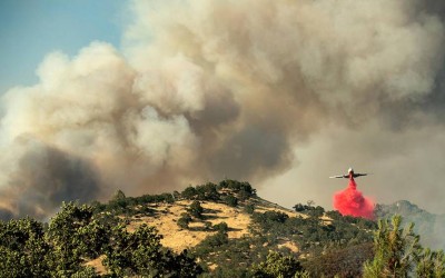 Nearly 60 Large Wildfires Are Burning in the Western U.S.