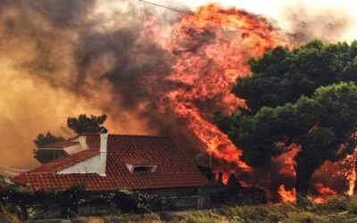 At least 24 people died in Greek wildfires