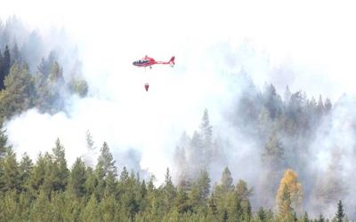 Norway sends assistance as Sweden struggles to contain ferocious wildfires