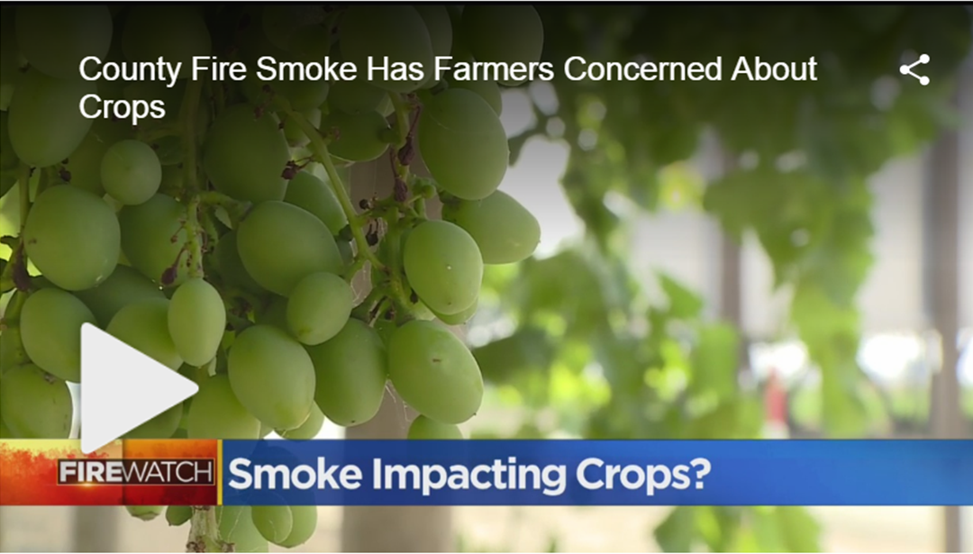 County Fire Smoke Has Farmers Concerned About Crops