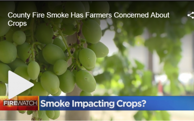County Fire Smoke Has Farmers Concerned About Crops