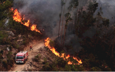 18 Die in Portugal wildfires as it rage in the Algarve – in pictures