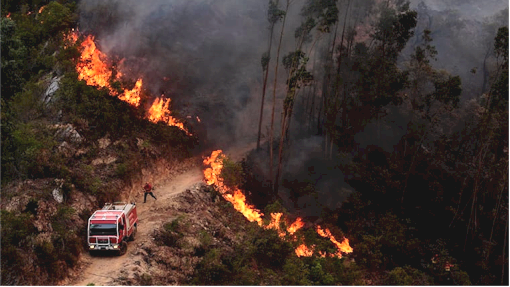 18 Die in Portugal wildfires as it rage in the Algarve – in pictures