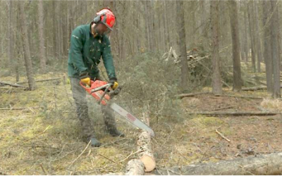 B.C. once again blows through its budget for fighting wildfires