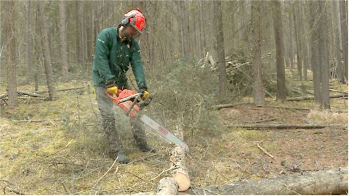 B.C. once again blows through its budget for fighting wildfires