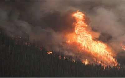 Waterton Lakes under evacuation alert as wildfire approaches