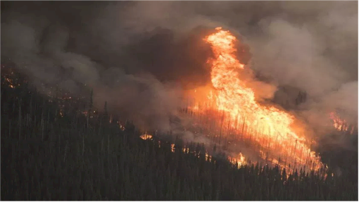 Waterton Lakes under evacuation alert as wildfire approaches