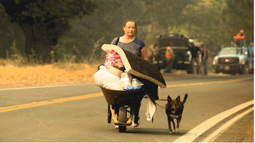 New fire erupts in Northern California; homes threatened
