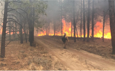Crews battle two new wildfires in Central Oregon