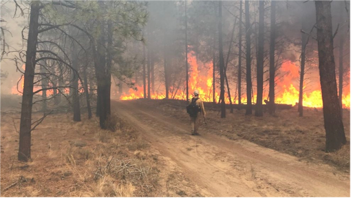 Crews battle two new wildfires in Central Oregon