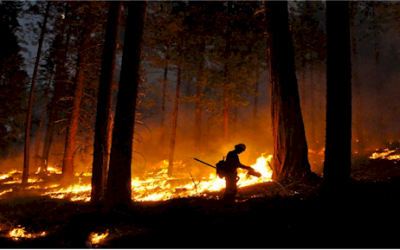 Megafires: Fighting fire with fire