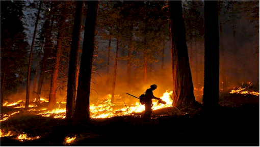 Megafires: Fighting fire with fire