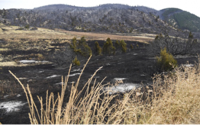 Rain helps but won’t end Horseshoe fire