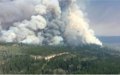 ‘It’s very eye-opening’: Vancouver firefighters – State emergency