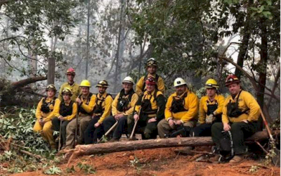 Local firefighters return