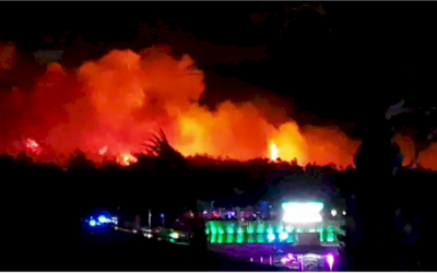 Thousands evacuated as forest fire bears down on Croatia music festival